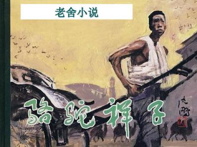 积积对积的桶app